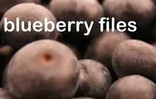 A close up of some blueberries with the words blueberry files written underneath